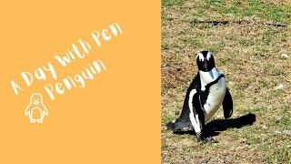 A Day With Pen Penguin