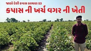 કપાસ ની ખર્ચ વગર ની ખેતી / KAMA Organic Farming