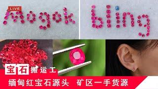 【宝石搬运工】缅甸Myanmar抹谷Mogok矿区红宝石Ruby，蓝宝石Sapphire，尖晶石Spinel，宝石珠宝源头直播LIVE(5/7)