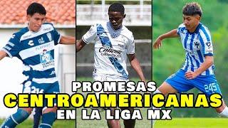 TOP 7 - PROMESAS CENTROAMERICANAS FORMÁNDOSE EN LA LIGA MX 2024