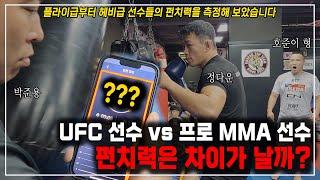 UFC 선수 vs 프로 MMA 선수의 펀치력은 차이가 날까? 안 날까? - 플라이급부터 헤비급 선수들의 펀치력을 측정해 보았습니다.