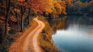 AUTUMN LEAF, RECOVERY OF THE NERVOUS SYSTEM! Autumn Love - Soulful Hits of Autumn  GOLDEN AUTUMN