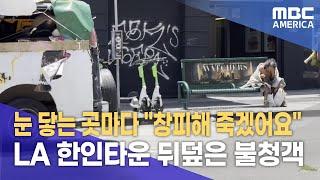 눈 닿는 곳마다 "창피해 죽겠어요"...LA 한인타운 뒤덮은 불청객