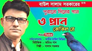 সালাম সরকার | বিচ্ছেদ বাউল অডিও গান | ও প্রান কোকিল রে | Baul Salam Sarkar | Bhatir Baul Media