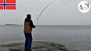 SHORE FISHING NORWAY - (STUS POINT) DAY 5 | HADDOCK AND COD FISHING | MASTERFISHERMAN