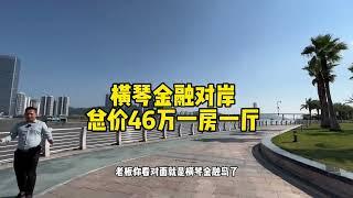 横琴金融岛深度合作区对面，总价46万有精装一房一厅，现楼马上收楼#不限购#降价了打折了