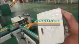 ZB300G facial tissue packaging machine with 140 bags/min --Shanghai Soontrue