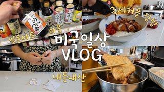 미국일상 VLOG‍카레 돈까스 카츠카레, 일본마트 장보기 하울, ana luisa 목걸이 귀걸이 하울, 워싱턴디씨 나들이, 국제커플 미국 집밥 요리 브이로그