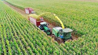 Silage  Smržice 2022 - Field          KS Plant      Agroslužby Douda