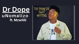 Dr Dope - uNomalizo (ft. Mzwilili) | Official Audio