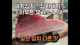 당신의 참치가 맛이 없는 이유.(feat. 4.8kgx5000원=24,000원)