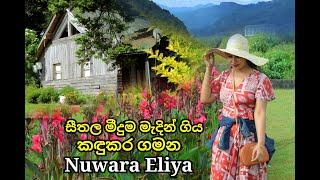 සීතල මීදුම මැදින්ගිය කඳුකර ගමන || Nuwara Eliya Travel Vlog || Hill Country