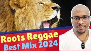 Let's Listen To My Favorite Roots Reggae Songs From Albums Released in 2024 | A Massive Mix