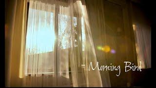 "Morning Bird" by Aaron Linn with J&M productions (Margaret and John Linn)