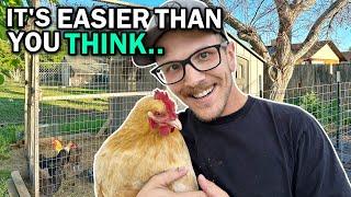 BACKYARD CHICKENS FOR BEGINNERS! | Caring For Egg Laying Hens The EASY Way!