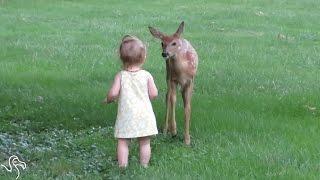 Deer Wanders Into A Yard — And Then Finds A New Friend