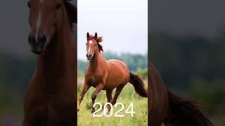 Horse  5000bce horse #5000bce #edit #animals