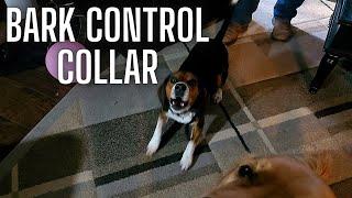 Full demo of the smart dog bark control collar