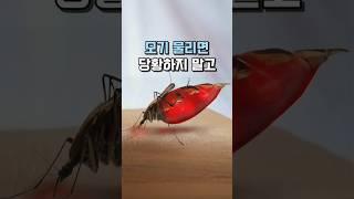 모기 물리면 무조건 이렇게 #여름필수템 #생활용품 #꿀템 #쿠팡추천템