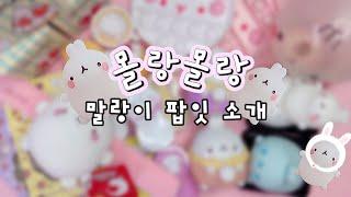 [ 몰랑이 ◍•ㅅ•◍ 말랑이 팝잇 소개 ] 몰랑몰랑한 몰랑이 모음 | 가격도 알아보기⭐️ | 말랑이랑 | molang