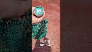 [신박한물건]#테니스#테니스공#테니스라켓