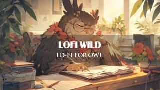 Lo-fi for Owl  | Relax With Owl ~ Deep Focus / [ Music Chill ~ Relaxing ]