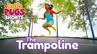 The Trampoline | Cutie Pugs | Movement for Kids