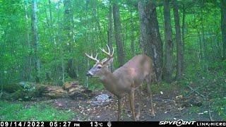 2023 Season | Killer Instinct for Deer