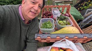 End Of September Harvest, Allotment Gardening Diary