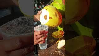 Incredible Coconut Cutting: Skills on Display!