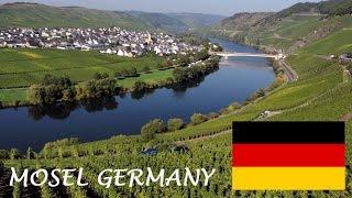 Mosel Wine tourism: German Riesling Wine Moselle Valley Germany wines DeutschlandTourismus Travel