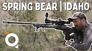 SPRING BEAR | IDAHO Public Land