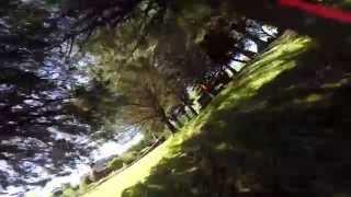 NZ Mini Quad Racing - Jonathans Tree Track