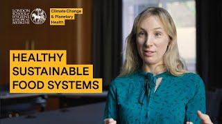 Healthy Sustainable Food Systems - Dr Rosemary Green