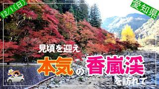 12/1（日）見頃の香嵐渓を訪ねて。朝7時頃の各駐車場の状況も紹介。