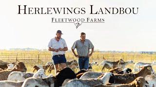 Ontdek die Krag van Herlewings Landbou by Fleetwood Farms