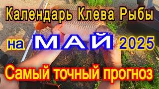 Календарь клева на МАЙ 2025 Прогноз клева рыбы Лунный Календарь рыбака 2025!