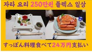 도쿄 Tokyo VLOG_ 자라요리 250만원 FLEX/ すっぽん料理２４万支出