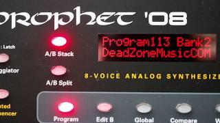 Dave Smith Instruments Prophet 08 Demo