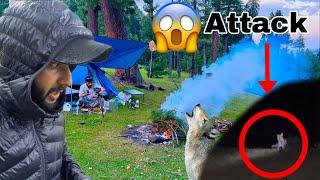 Janwar Nei Hamla Kar Diya  Camping Gone Wrong