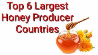 Top 6 Largest Honey Producer Countries