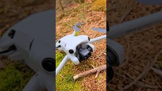 DJI MINI 4 Pro Forest launch  #shorts #dji #djimini4pro #drone