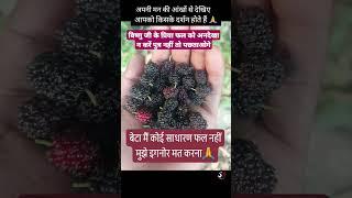 विष्णु जी के प्रिया फल को अनदेखा देखा ना करें #vishnu #vishnumantra #vishnupurana
