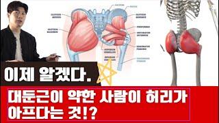 허리 아픈 사람 중 엉덩이 운동하고 있다면.. 이 영상은 필수입니다.