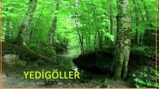 #YEDİGÖLLER# Bolu Yedigöller'e nasıl gidilir.Nerede kamp yapılır.Giriş ücreti ,kamp ücreti ne kadar.