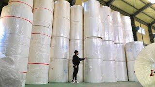 Paper Towel Mass Production Factory. Manufacturing Process for 4 types of Paper Towel.