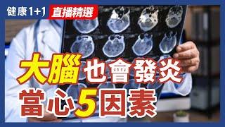 大腦也會發炎 當心5因素 | 健康1+1 · 直播精選