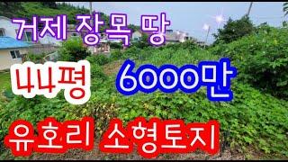 [거제도 소형 토지 매매] 거제 장목 유호리 바닷가 어촌, 100평이하 소형 토지 44평, 1억 이하 6천만 매매 땅.