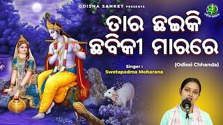 Taara Chayiki Chabiki || Swetapadma moharana || Odishi Classical || Odissi Song || The Odisha Sanket