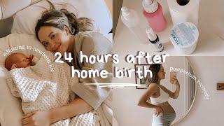 24 hours after home birth | postpartum recovery + a full day with a newborn